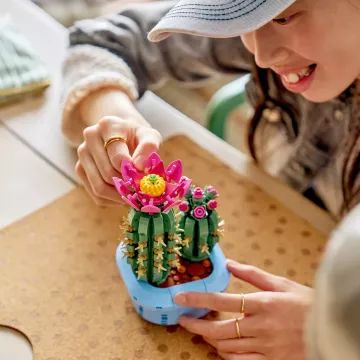 LEGO® Botanicals Bloeiende Cactus 11509 - .afbeelding