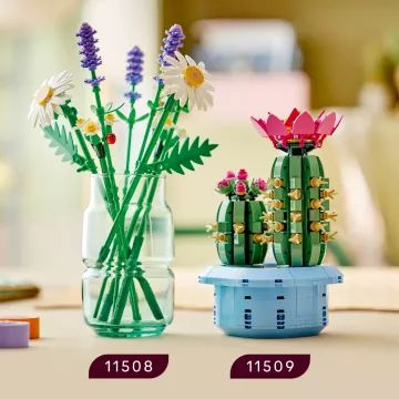 LEGO® Botanicals Kvitnúci kaktus 11509 - .Obrázok