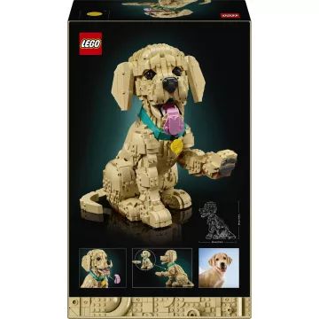 LEGO® Ikone Zlatni retriver psić 11384 - .slika
