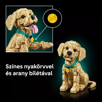 LEGO® Icons Chiot golden retriever 11384 - .image