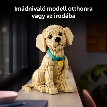 LEGO® Icons Χρυσός Ριτρίβερ σκυλάκι 11384 - .εικόνα