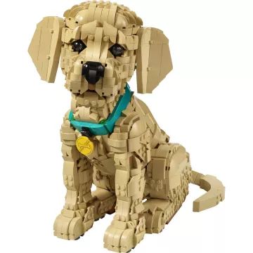 LEGO® Ikone Zlatni retriver psić 11384 - .slika