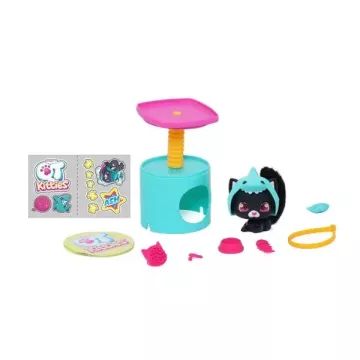 Schattige poesjes - Ash - .afbeelding
