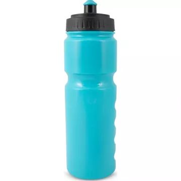 FIFA-Weltmeisterschaft 2026: Trinkflasche – blau - . bild aus