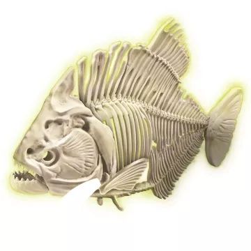 Clementoni: Fluorescenční Piraňa - archeologická sada - .obrázek