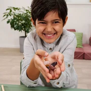 Scout: Ásványkutató régészkészlet - . kép