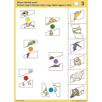 Logico Primo - Osservazione e logica - in ungherese - .immagine