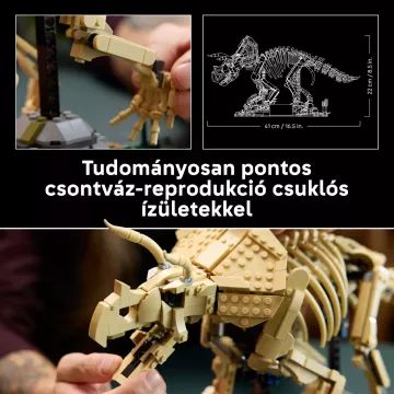 LEGO® Jurassic World Dinobotten: Triceratops 77985 - .afbeelding