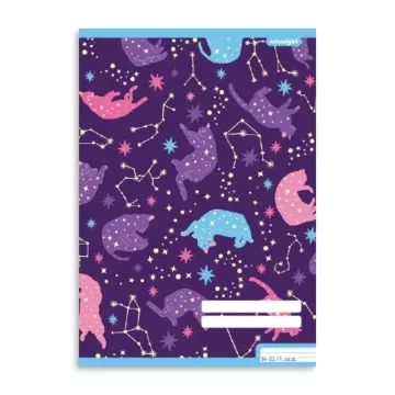 SchoolGirl: Caderno pautado - A5, 1º ano, vários modelos - .Imagem