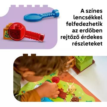 LEGO® DUPLO® Przygoda w lesie z dzikimi zwierzętami 10480 - .zdjęcie 