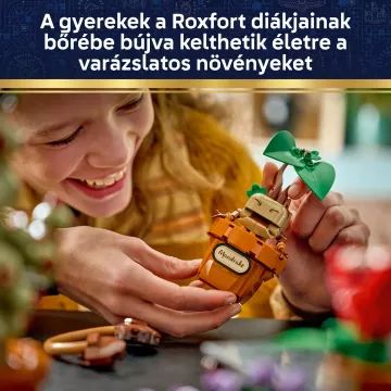 LEGO® Harry Potter A Roxfort-i gyógynövénytanóra növényei 76474 - . kép