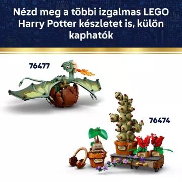 LEGO® Harry Potter Dobby, de vrije huiself 76469 - .afbeelding
