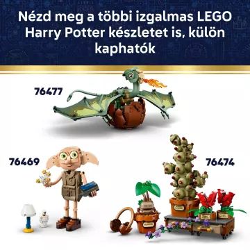 LEGO® Harijs Poters Cūkkārpas ģerbonis 76462 - .attēls