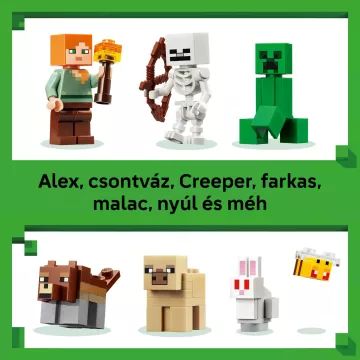 LEGO® Minecraft® De Avonturen van de Eerste Nacht 21593 - .afbeelding