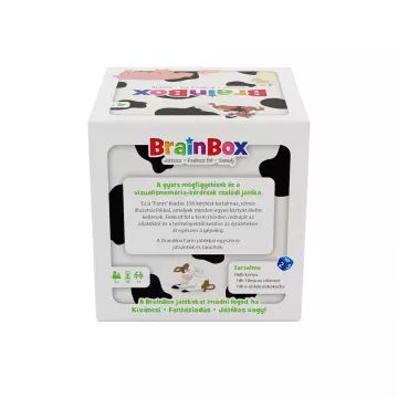 BRAINBOX, NIEUWE BOERDERIJ - .afbeelding