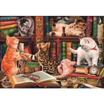Clementoni: Nieuwsgierige Katjes Compact Puzzel 1000 stukjes - .afbeelding