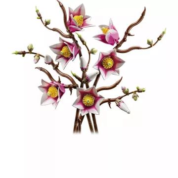 LEGO® Botanicals Magnóliaágak 11510 CSOMAGOLÁSSÉRÜLT - . kép