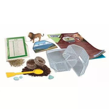 Clementoni: Tudomány és játék - Mini terrárium, oroszlános - . kép