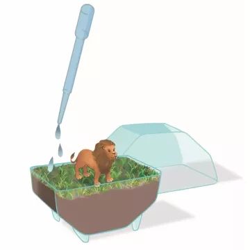 Clementoni: Wetenschap en spel – Mini terrarium met leeuw - .afbeelding