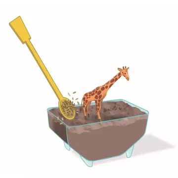 Clementoni: Tudomány és játék - Mini terrárium, zsiráfos - . kép
