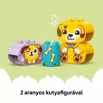 LEGO DUPLO MY FIRST: Formaválogató:Kutyusház 10441 CSOMAGOLÁSSÉRÜLT - . kép