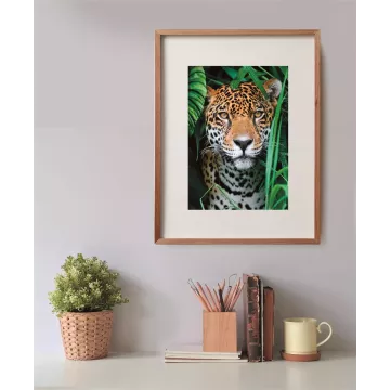 Puzzle Clementoni Jaguar în junglă, 500 piese - .foto