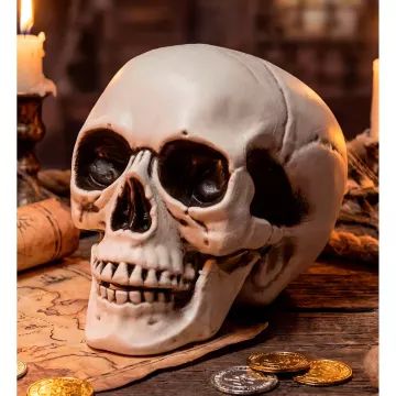 Teschio decorativo con mandibola mobile – 12 cm - .immagine