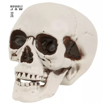 Decorațiune craniu cu mandibulă mobilă – 12 cm - .foto