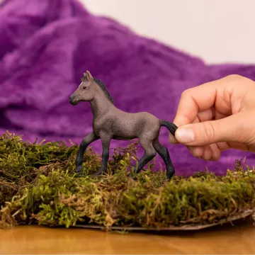 Schleich: 13954 Paso Peruano Fajtájú Csikó - . kép