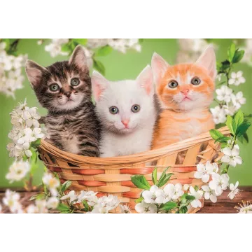 Clementoni: Prieteni pufoși puzzle – 2 x 60 piese - .foto
