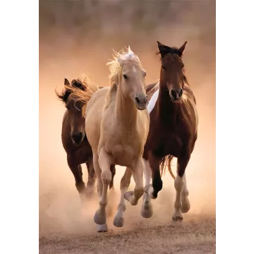 Clementoni: Cai în galop – puzzle de 1000 piese - .foto