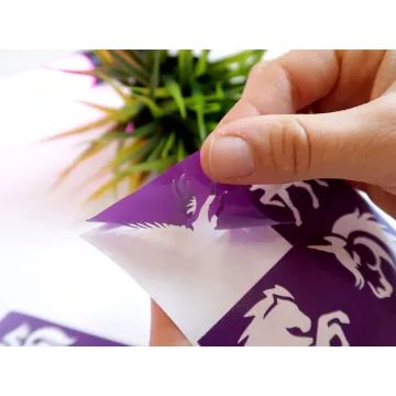 TyToo: Hobuste ja ponide šabloonikomplekt sädetätoveeringuteks - .pilt
