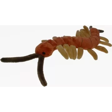Centipedă de pluș 25 cm - .foto