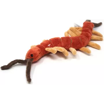 Centipedă de pluș 25 cm - .foto