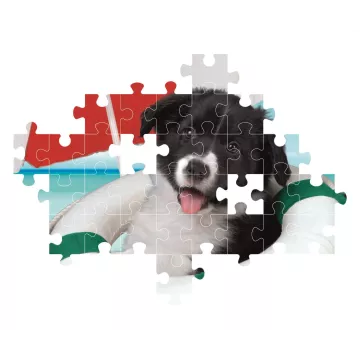 Clementoni: Căţeluşul la plajă puzzle - 104 piese - .foto