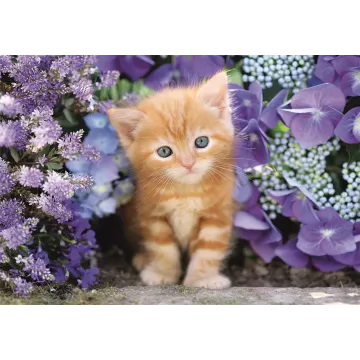 Clementoni: Pisicuță roșcată puzzle - 500 piese - .foto