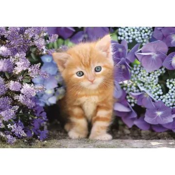 Clementoni: Vörös kiscica puzzle - 500 db-os - . kép