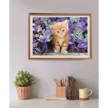 Clementoni: Pisicuță roșcată puzzle - 500 piese - .foto