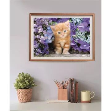 Clementoni: Vörös kiscica puzzle - 500 db-os - . kép