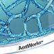 Komplet osnove farme mravelj Antworks - .slika