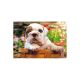 Bulldog 500-delni puzzle - .slika