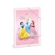 Disney princese: A4 mapa za dokumente - .slika