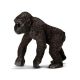 Gorilla mladič - .slika