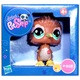Pomemben Littlest PetShop Kiwi - .slika
