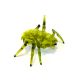 Hexbug - zeleni skarabej - .slika