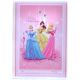 Disney princese: Svetlo roza črtasti zvezek A5 - 1. razred 14-32 - .slika