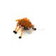 Hexbug - oranžni Alpha hrošč - .slika