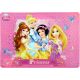 Žaboj Disney princesk - .slika
