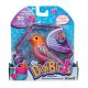 Digibirds: S povezljivimi ptičjimi kletkami - roza-oranžna, Dizzy - .slika