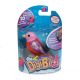 Digibirds: Ptica - rdeče-roza, Scarlett - .slika